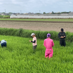 生育調査