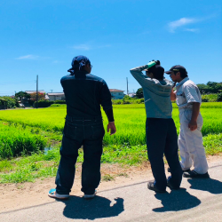 空を見上げる３人